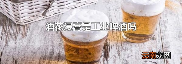 酒花浸膏是工业啤酒吗