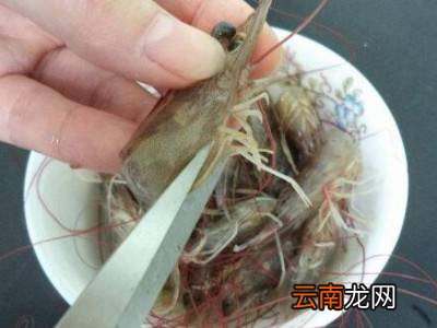 怎么清理虾