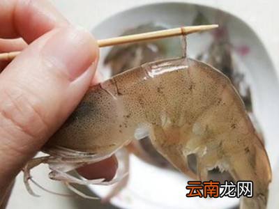怎么清理虾