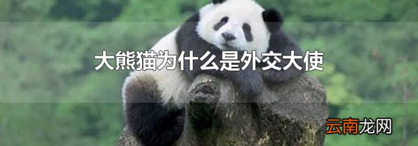 大熊猫为什么是外交大使