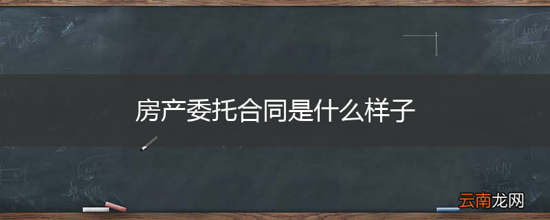 房产委托合同是什么样子