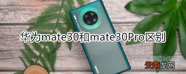 mate30和mate30Pro区别