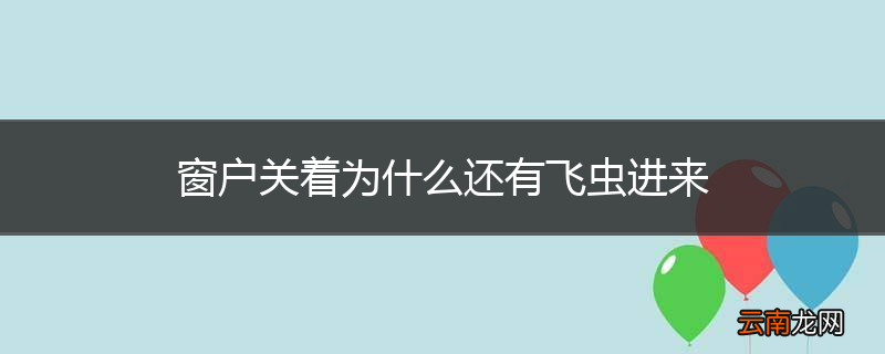 窗户关着为什么还有飞虫进来