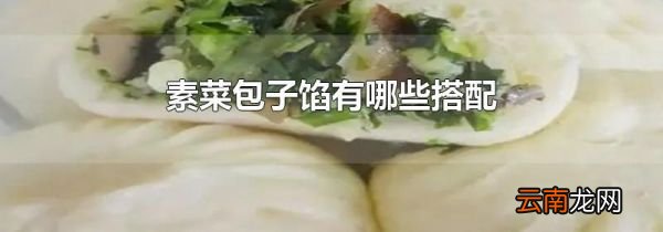 素菜包子馅有哪些搭配
