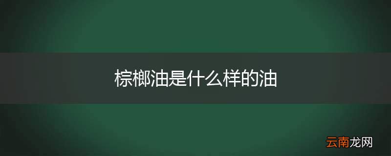 棕榔油是什么样的油