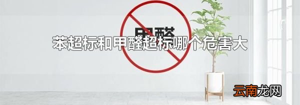 苯超标和甲醛超标哪个危害大