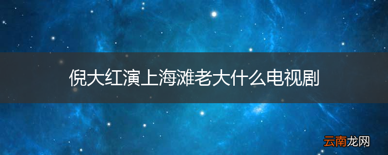 倪大红演上海滩老大什么电视剧