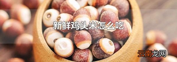 新鲜鸡头米怎么吃