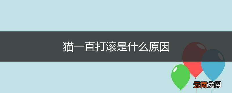 猫一直打滚是什么原因
