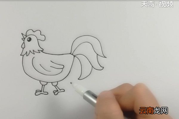 大公鸡简笔画