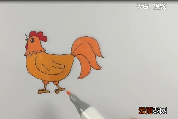 大公鸡简笔画