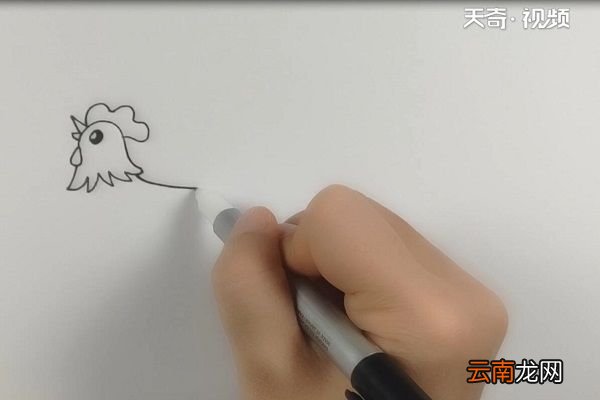 大公鸡简笔画