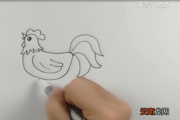 大公鸡简笔画