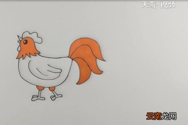 大公鸡简笔画