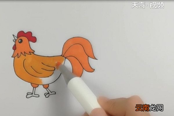 大公鸡简笔画