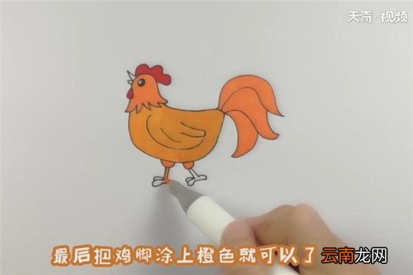 大公鸡简笔画