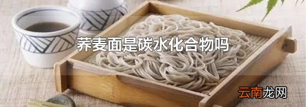 荞麦面是碳水化合物吗