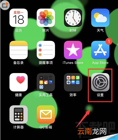 iPhone11如何查生产日期？iPhone11手机系列生产日期查询方法