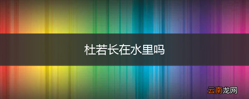 杜若长在水里吗