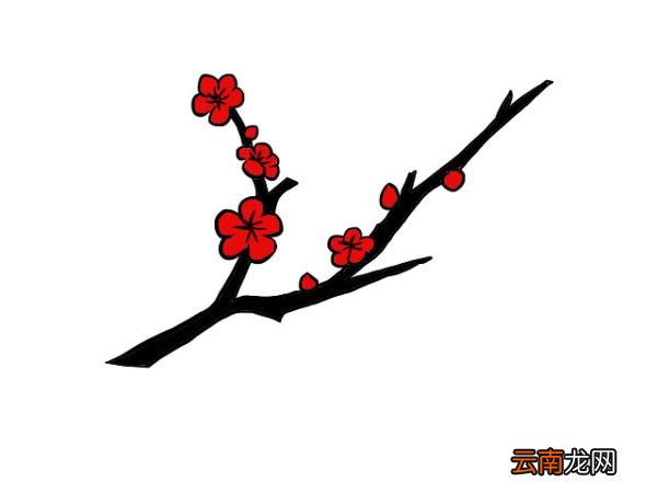 梅花简笔画