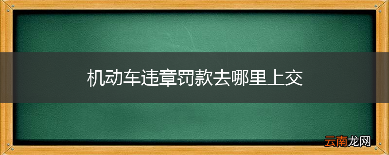 机动车违章罚款去哪里上交