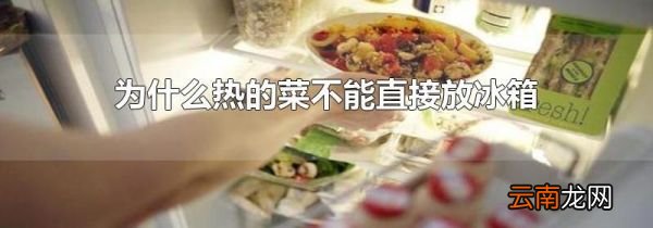 为什么热的菜不能直接放冰箱