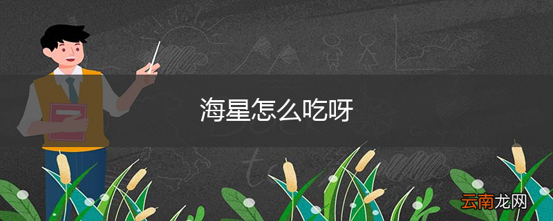 海星怎么吃呀