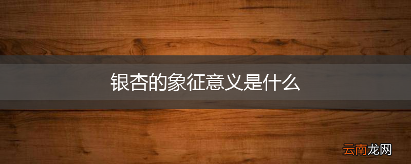 银杏的象征意义是什么