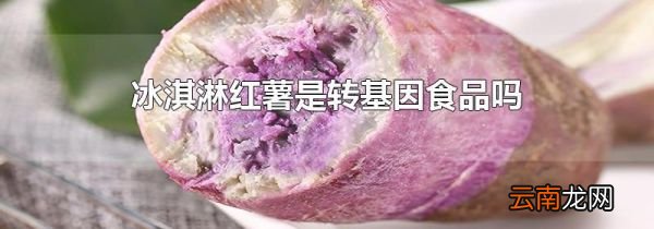 冰淇淋红薯是转基因食品吗