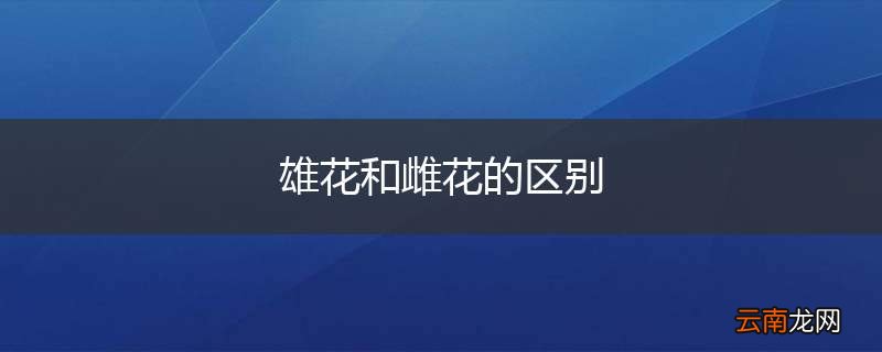 雄花和雌花的区别