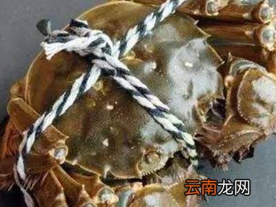 生河蟹怎么保存时间长