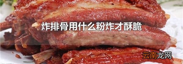 炸排骨用什么粉炸才酥脆