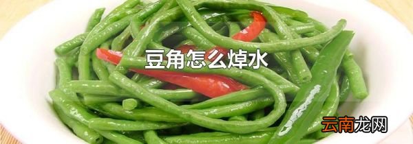 豆角怎么焯水