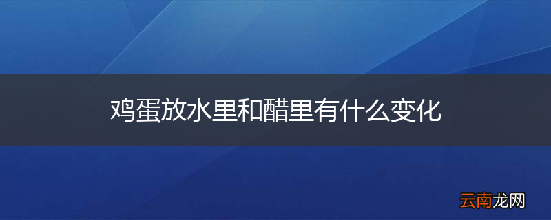 鸡蛋放水里和醋里有什么变化