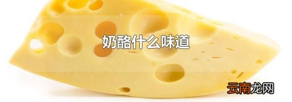 奶酪什么味道