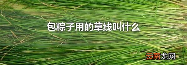 包粽子用的草线叫什么