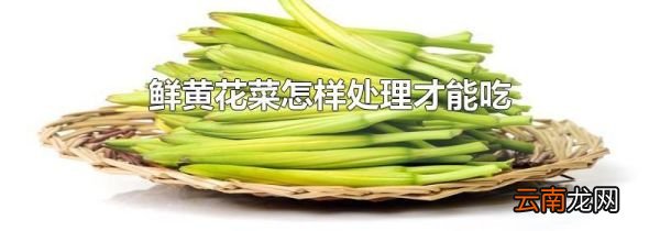 鲜黄花菜怎样处理才能吃