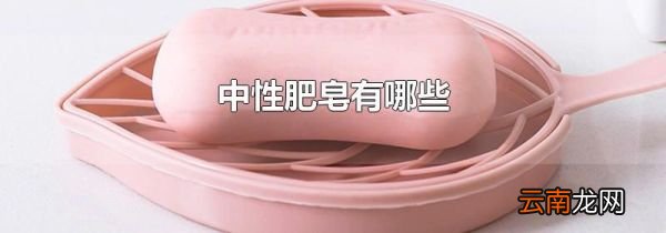 中性肥皂有哪些