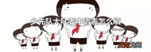 少先队大队委申请表怎么填