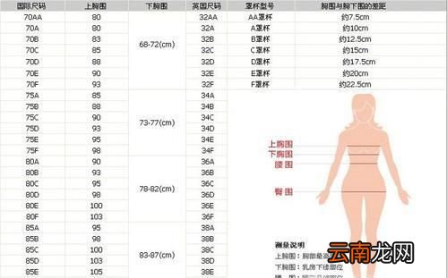 胸围怎么测量？