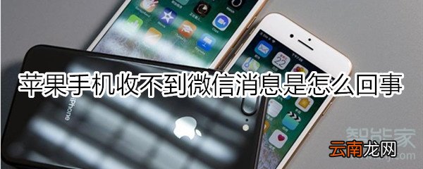 苹果手机收不到微信消息是怎么回事