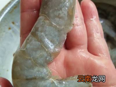 冻虾怎么处理