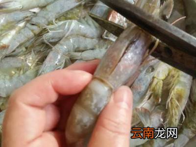冻虾怎么处理