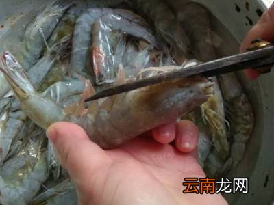 冻虾怎么处理