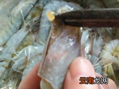 冻虾怎么处理