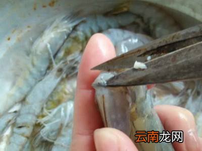 冻虾怎么处理