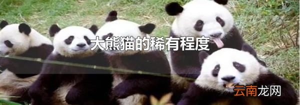 大熊猫的稀有程度