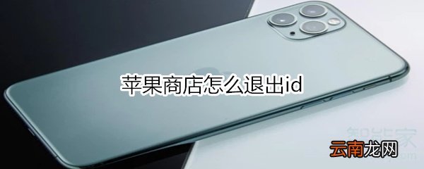 苹果商店怎么退出id
