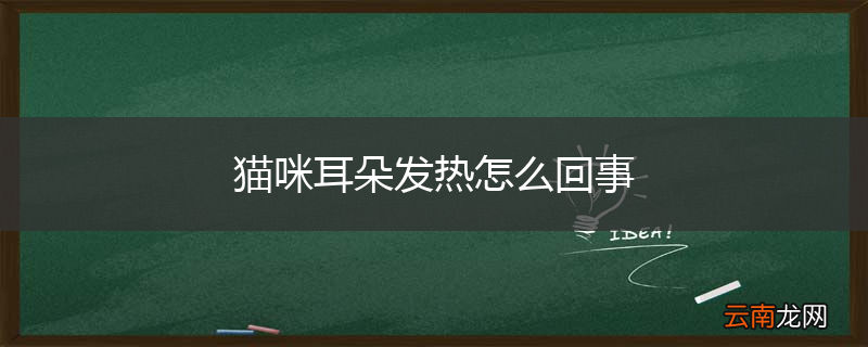 猫咪耳朵发热怎么回事