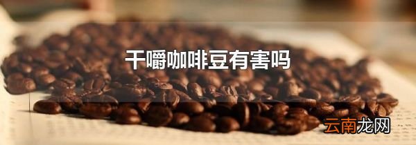 干嚼咖啡豆有害吗
